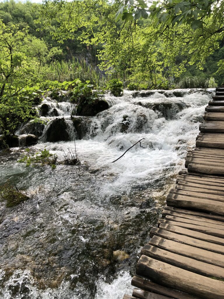 A wooden pathway alongside a flowing river surrounded by lush green vegetation and trees.