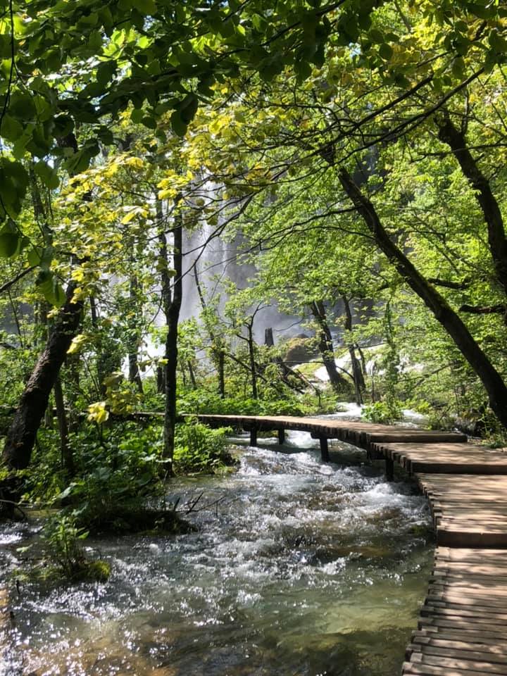 A wooden pathway winding through a lush green forest, alongside a flowing creek and a waterfall in the background, with sunlight filtering through the leaves.