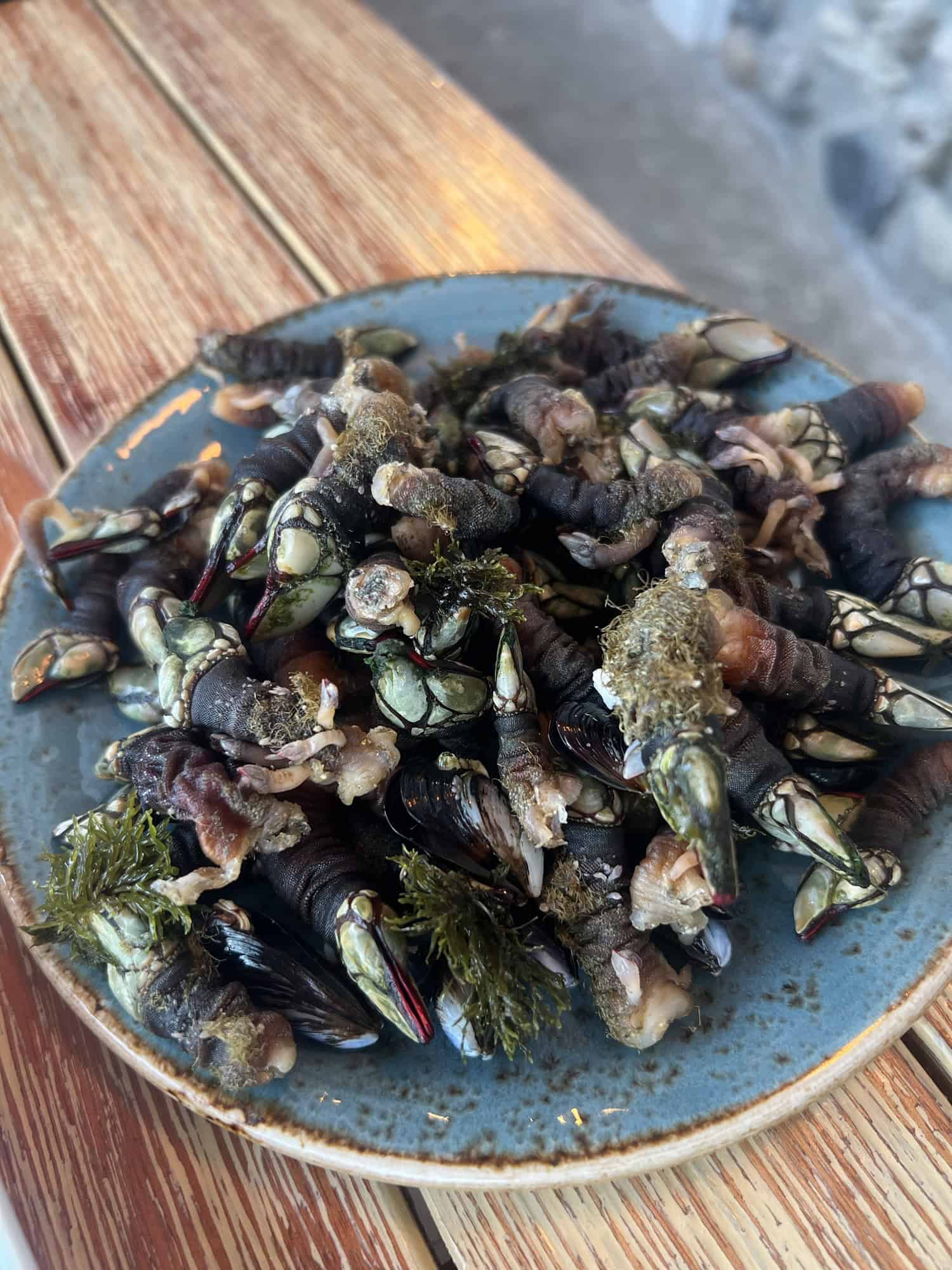 Plate of freshly boiled percebes (edible barnacles) on a rustic Portuguese table, traditional seafood delicacy from Portugal’s coast